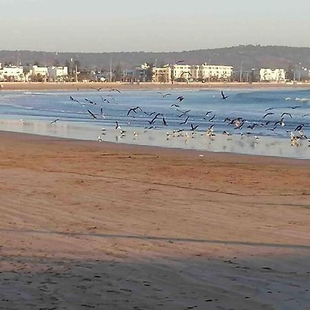 فيلا Darsal-Bwindi, Pour Tomber Amoureux D'Essaouira ! المظهر الخارجي الصورة