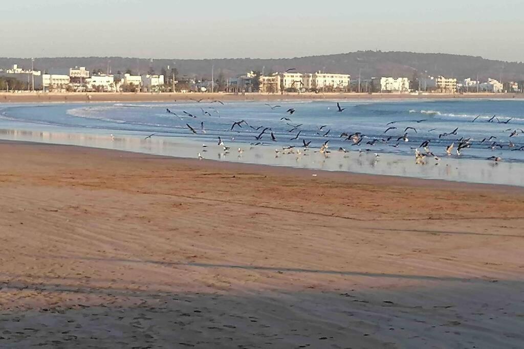فيلا Darsal-Bwindi, Pour Tomber Amoureux D'Essaouira ! المظهر الخارجي الصورة