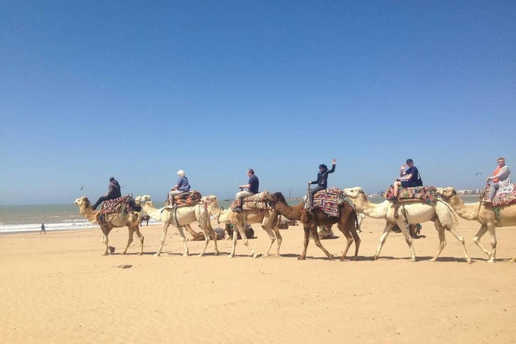 فيلا Darsal-Bwindi, Pour Tomber Amoureux D'Essaouira ! المظهر الخارجي الصورة